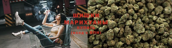 кокаин колумбия Богданович