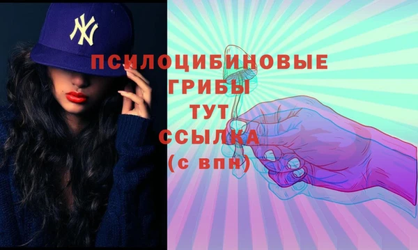прущие грибы Богородск