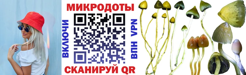 Галлюциногенные грибы Psilocybine cubensis  Неман 
